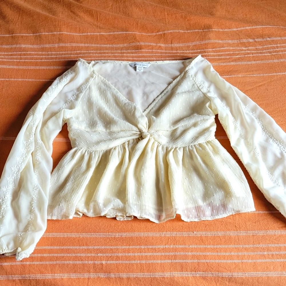 American Eagle Cropped Top